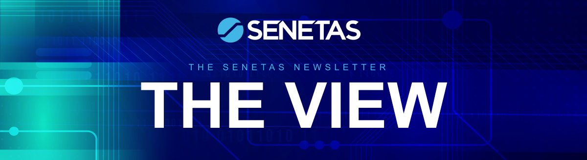 Senetas The View